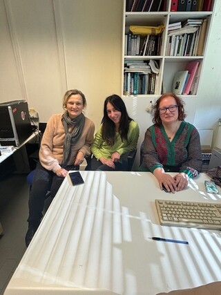 Ankica Kosic and colleagues